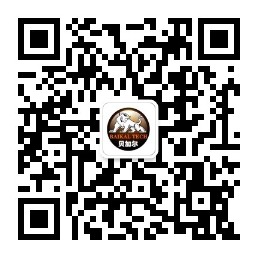 掃描手機(jī)訪問